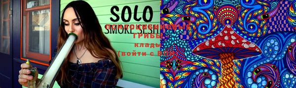 индика Пестово